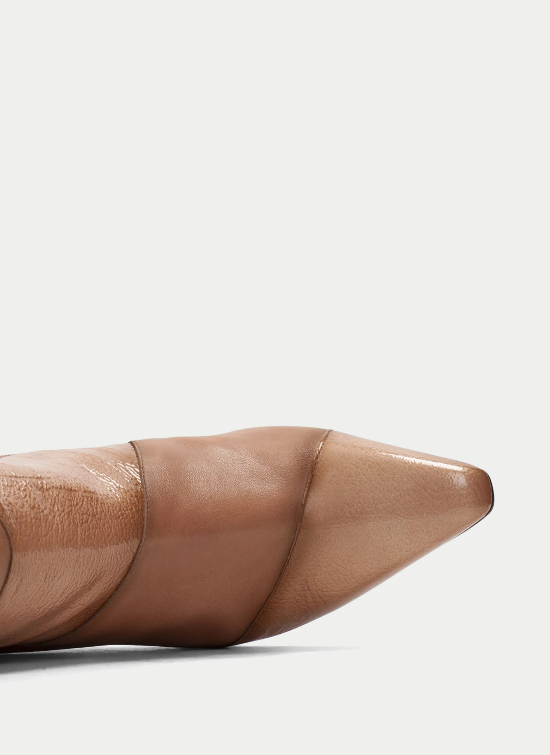 Botins dalia apricot
