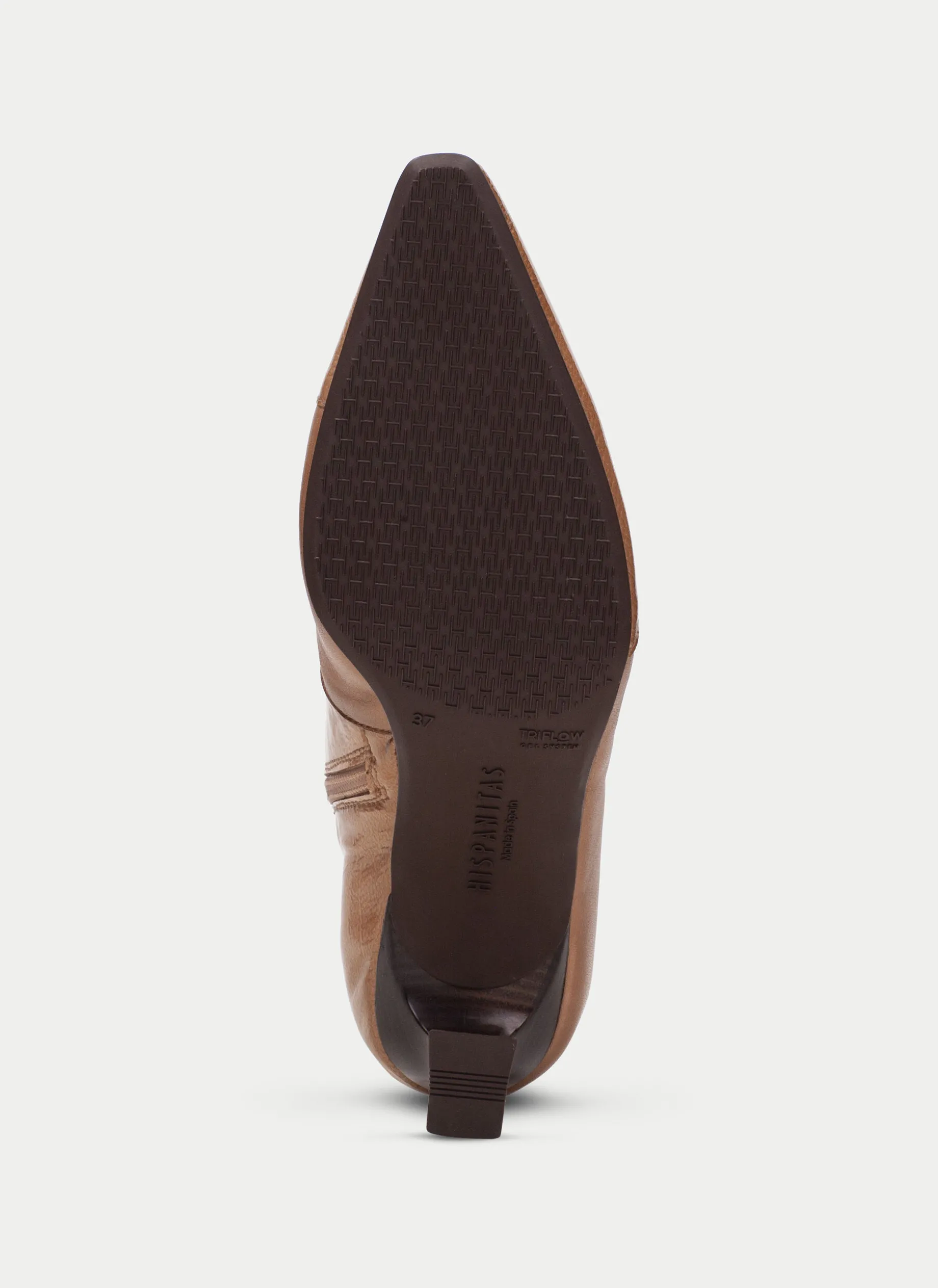 Botins dalia apricot