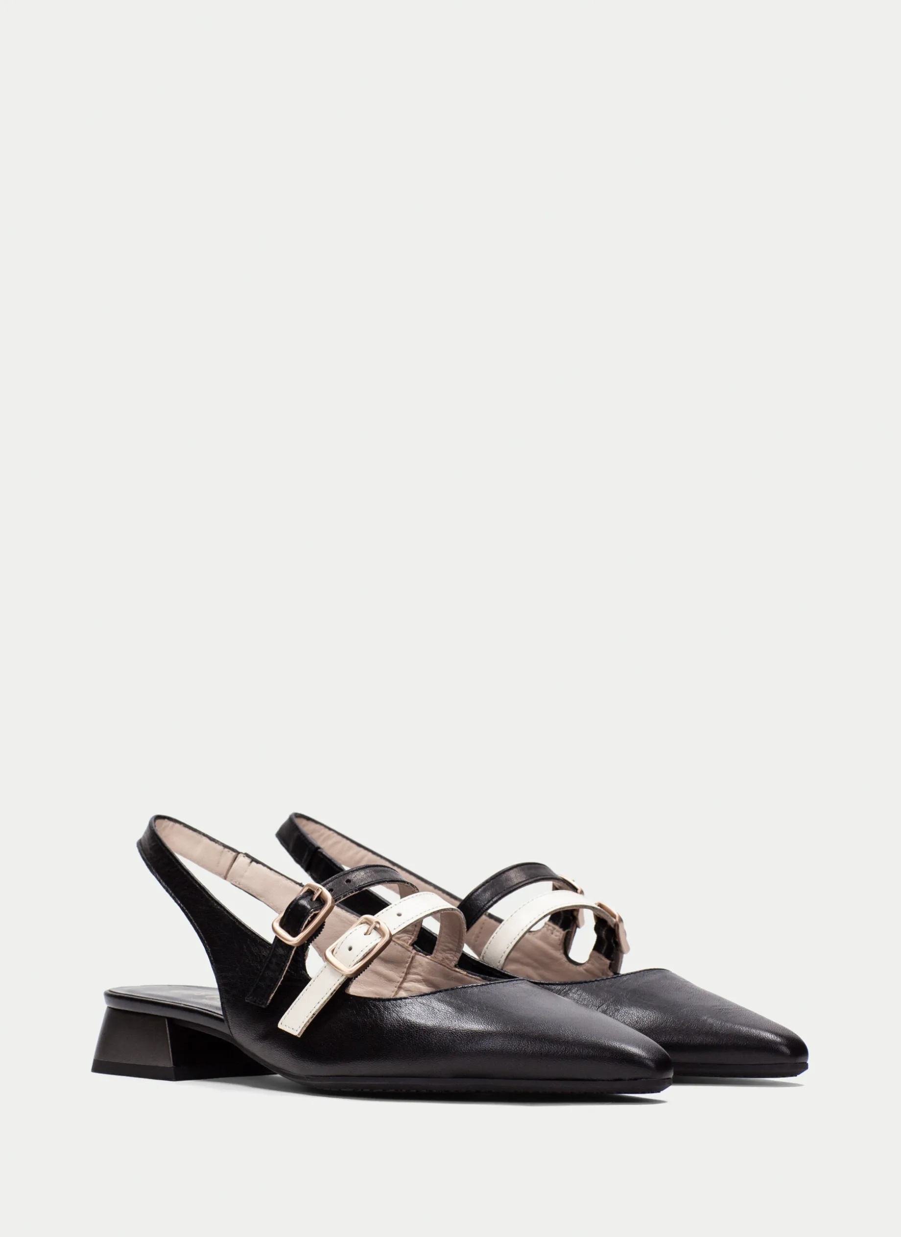 Sapatos rasos dali preto